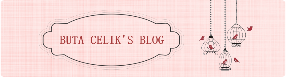 BUTA CELIK's BLOG