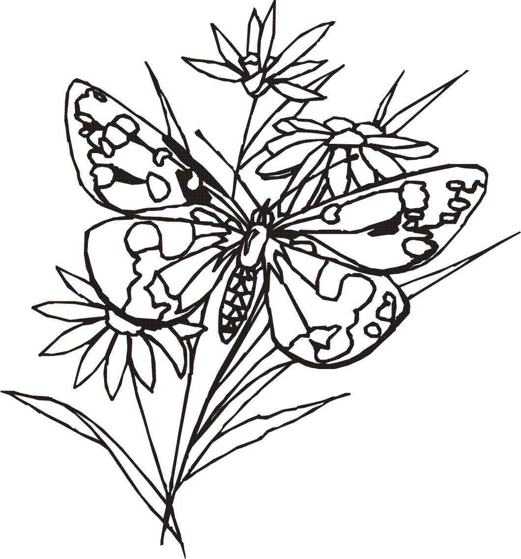 Free Coloring Pages For Kids: Coloring Butterfly (part 1)