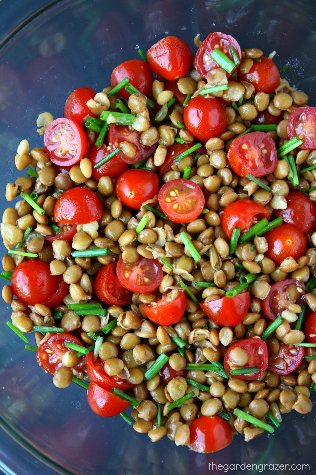 Lentil and tomato salad forecast Lentil and tomato salad recommendations
