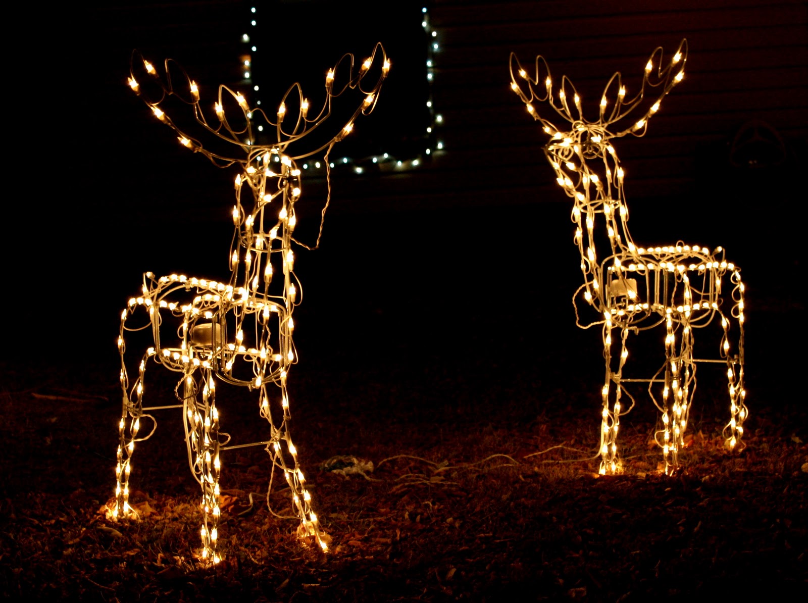 Reindeer with Christmas Light Xmasblor