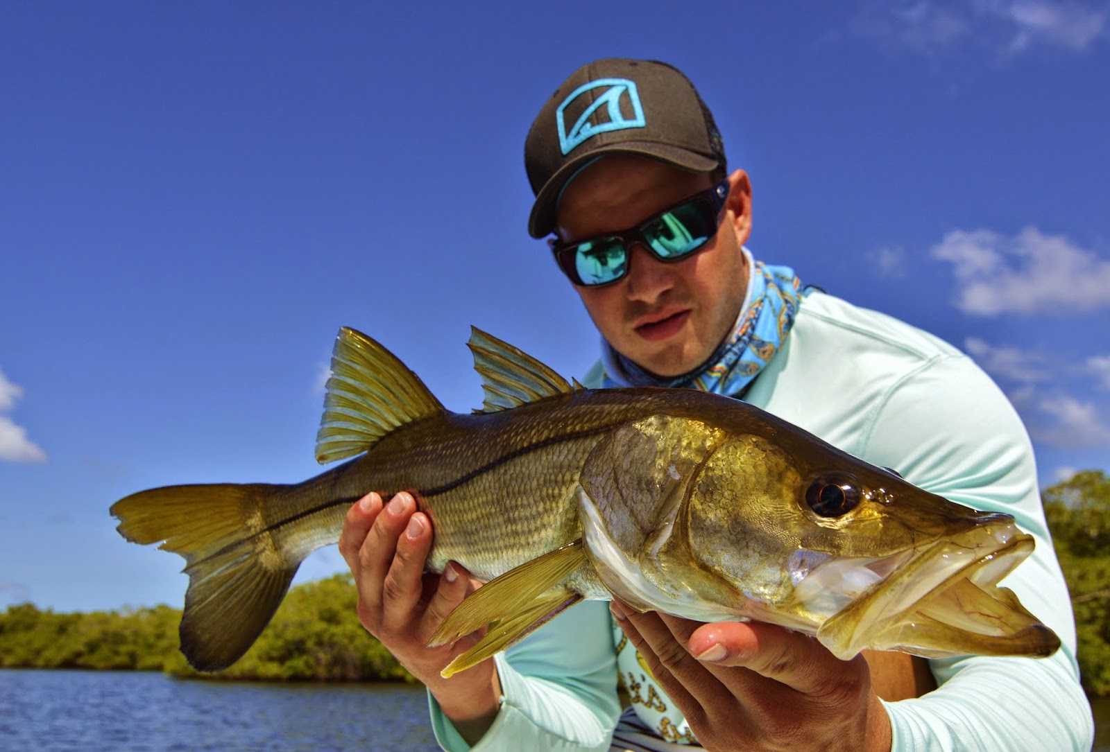 Slot sized Snook on Fly caught in Matlacha Pass Backcountry