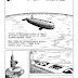 SharkBird # 1