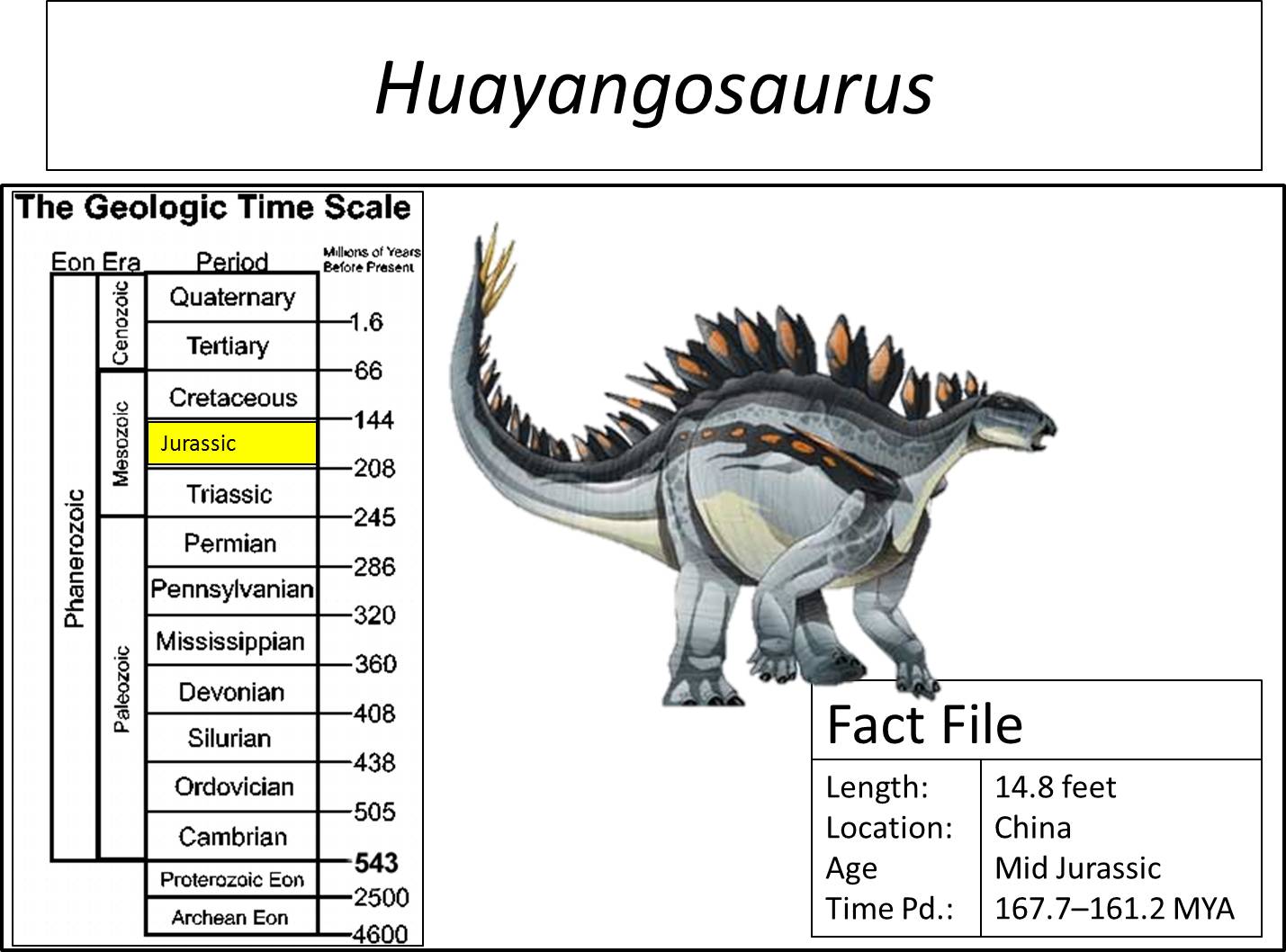 The Natural World The Purpose of the Plates of Stegosaurus