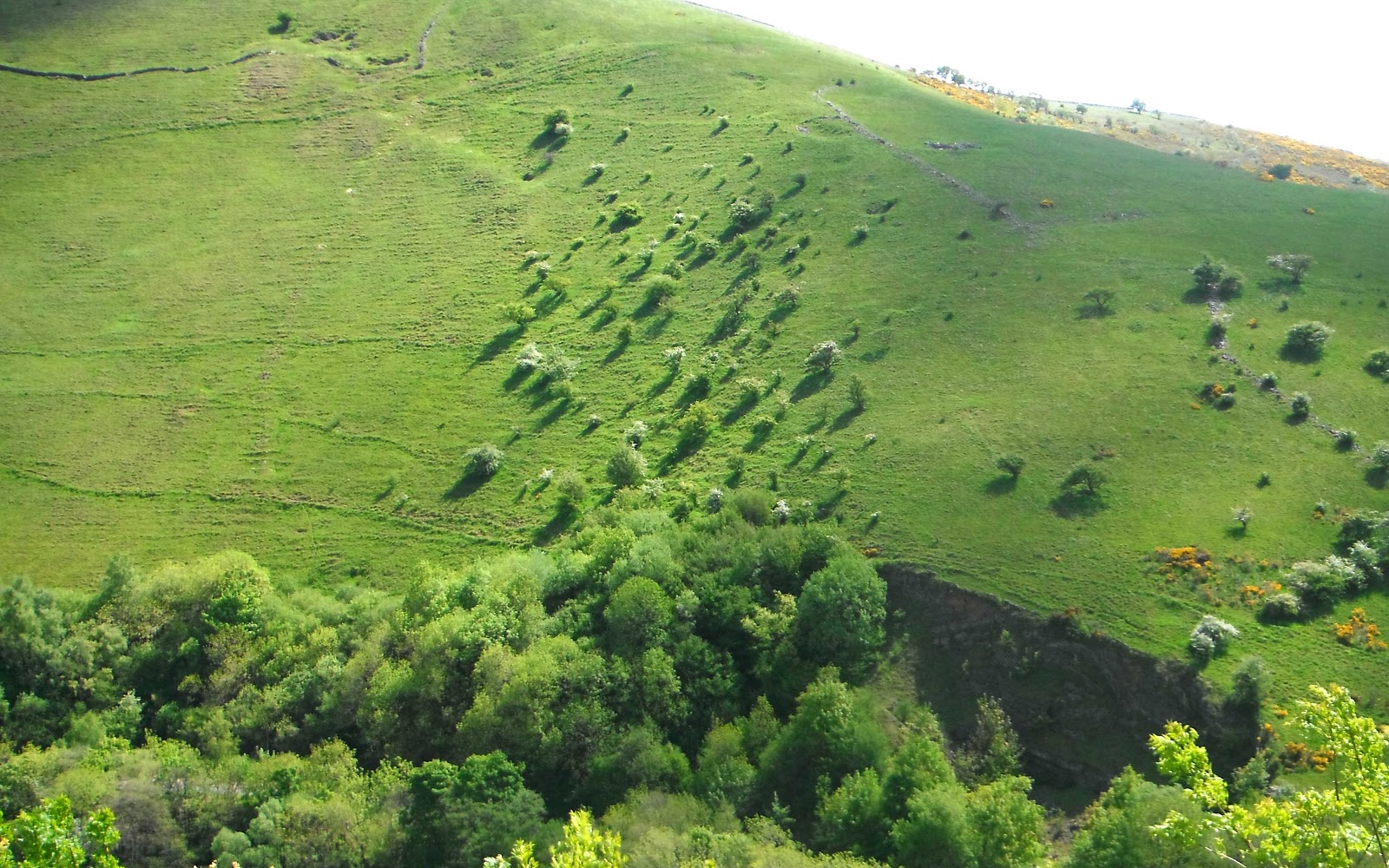 Staffordshire Photo Dotting shadows