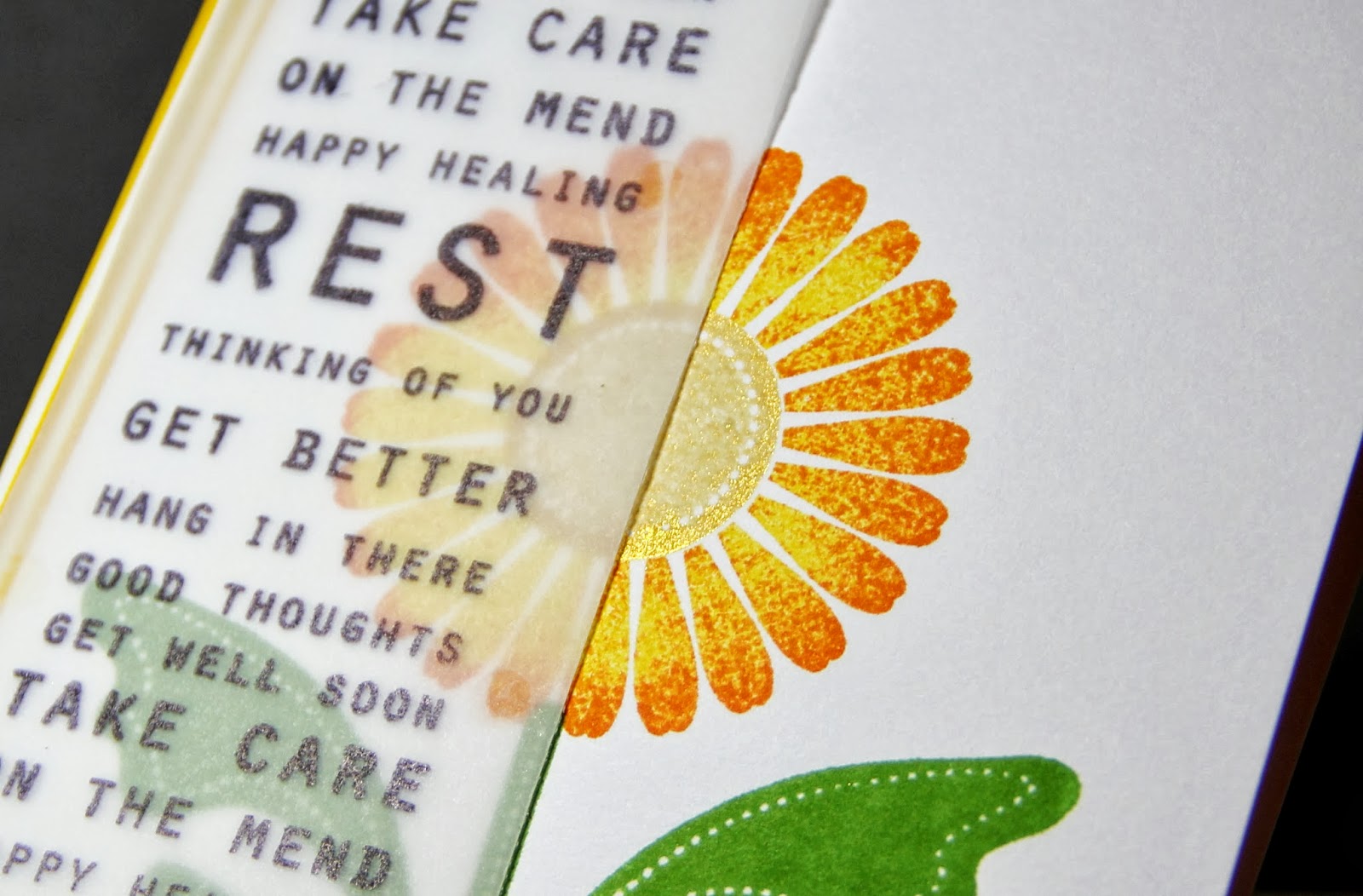 Amusing Michelle Sunflower Wishes