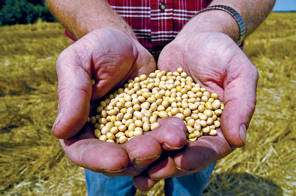Farming Seeds
