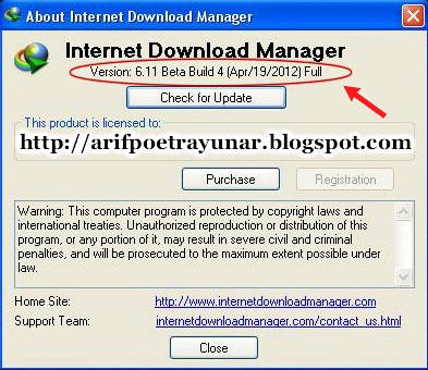 Internet Download Manager 6.01 Build 5 Beta Patch