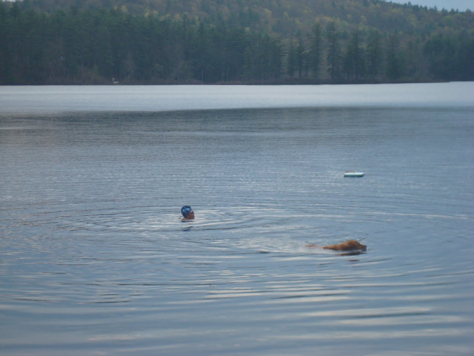 Wild Swimming New England Wild Swimming at Lake JoSylvia, Contoocook
