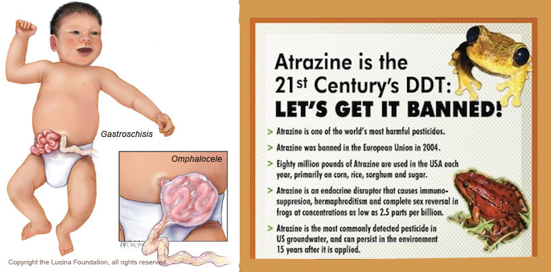 View source image Image result for Atrazine in Water