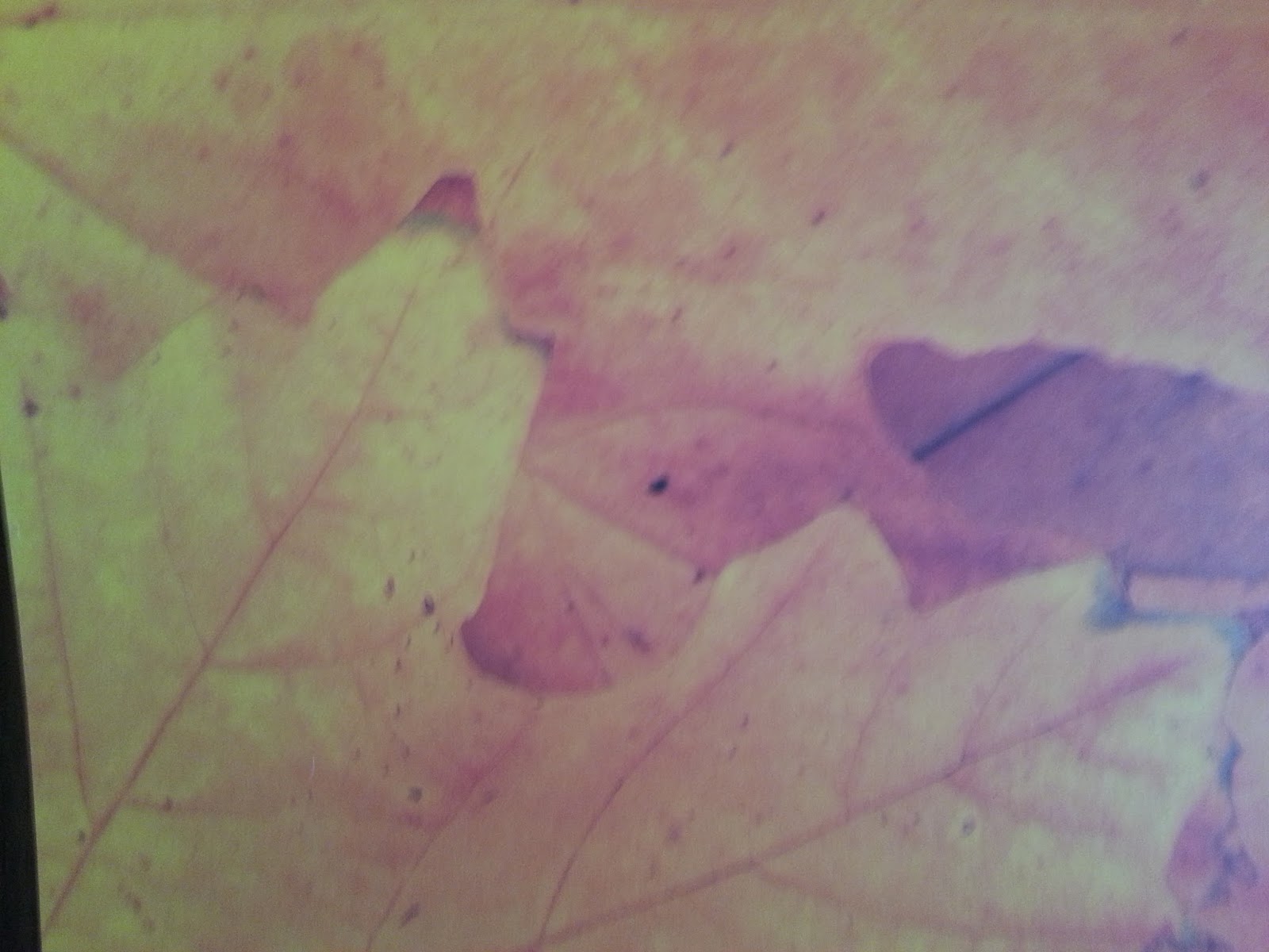 Jumbo Origami Paper Pack Book Review Crochet Addict UK