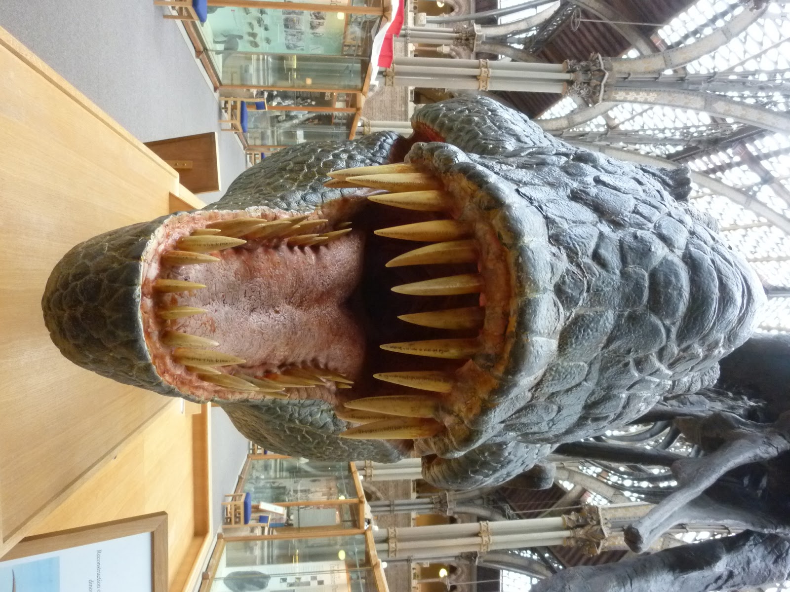 bbonthebrink: Dinosaurs in Oxford