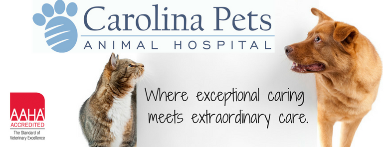 Carolina Pets Blog