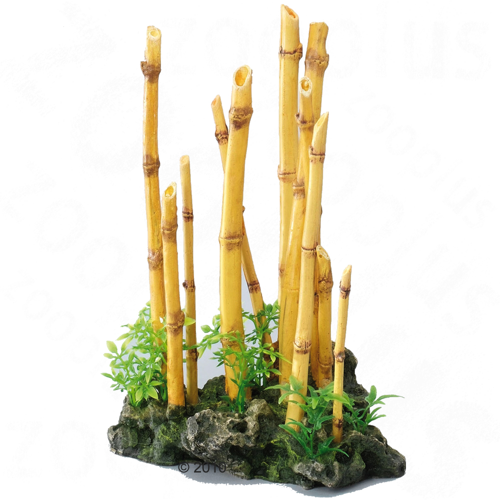 Macetas Con Bambu Decoracion Finest Puerta Garaje Madera Maceta ~ Cañas De Bambu Verdes Para Decorar Macetas Con Bambu Decoracion Finest Puerta Garaje Madera Maceta ~ Cañas De Bambu Verdes Para Decorar