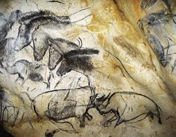 Meaning Of Dreams About Buffalo | RM. Meaning Of Dreams About Buffalo | RM.