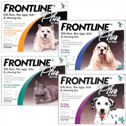 frontline dog