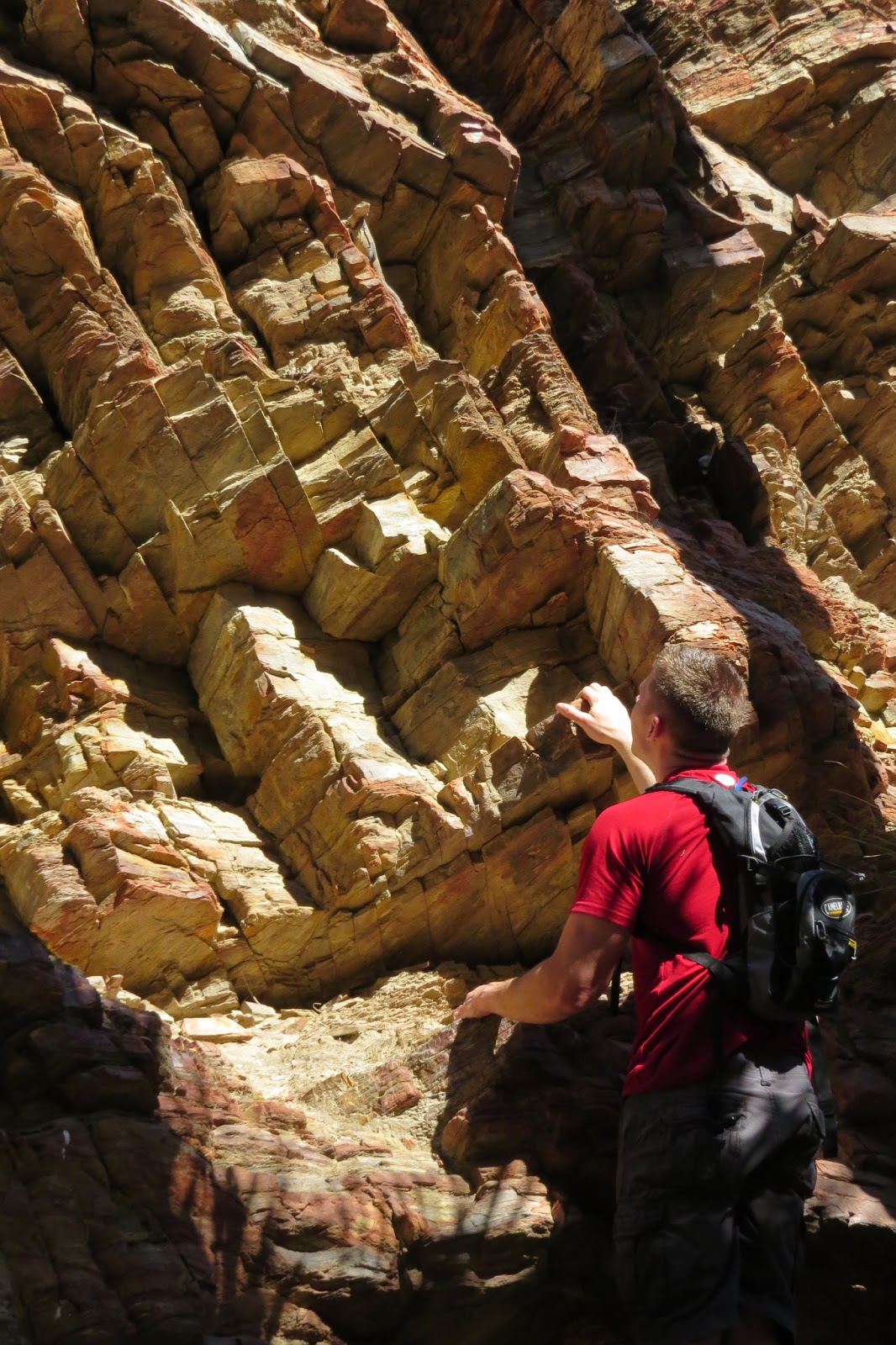 Indian Canyon hike and a chuckwalla