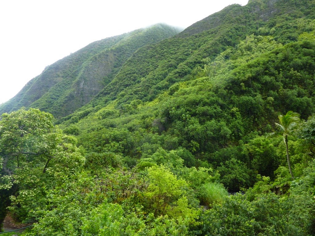 Observations of the Practical Kind Maui Iao Valley State Park and Iao