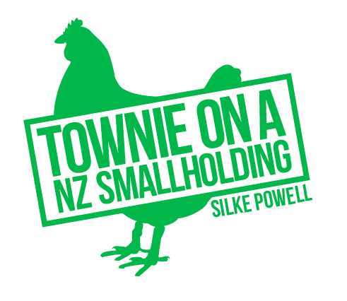 Townie on a NZ smallholding