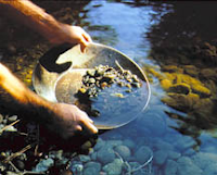 Gold Panning