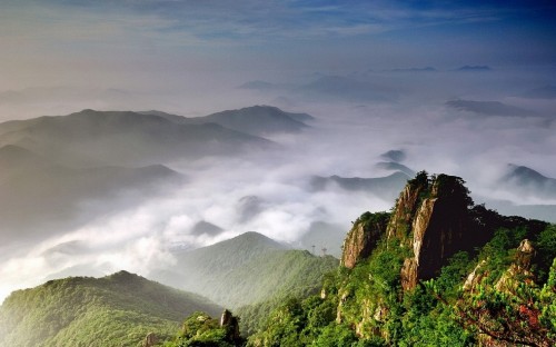 cartoon and wallpaper: Google nature wallpapers