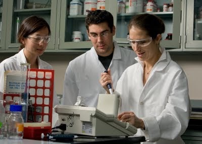 Biomedical engineering essay