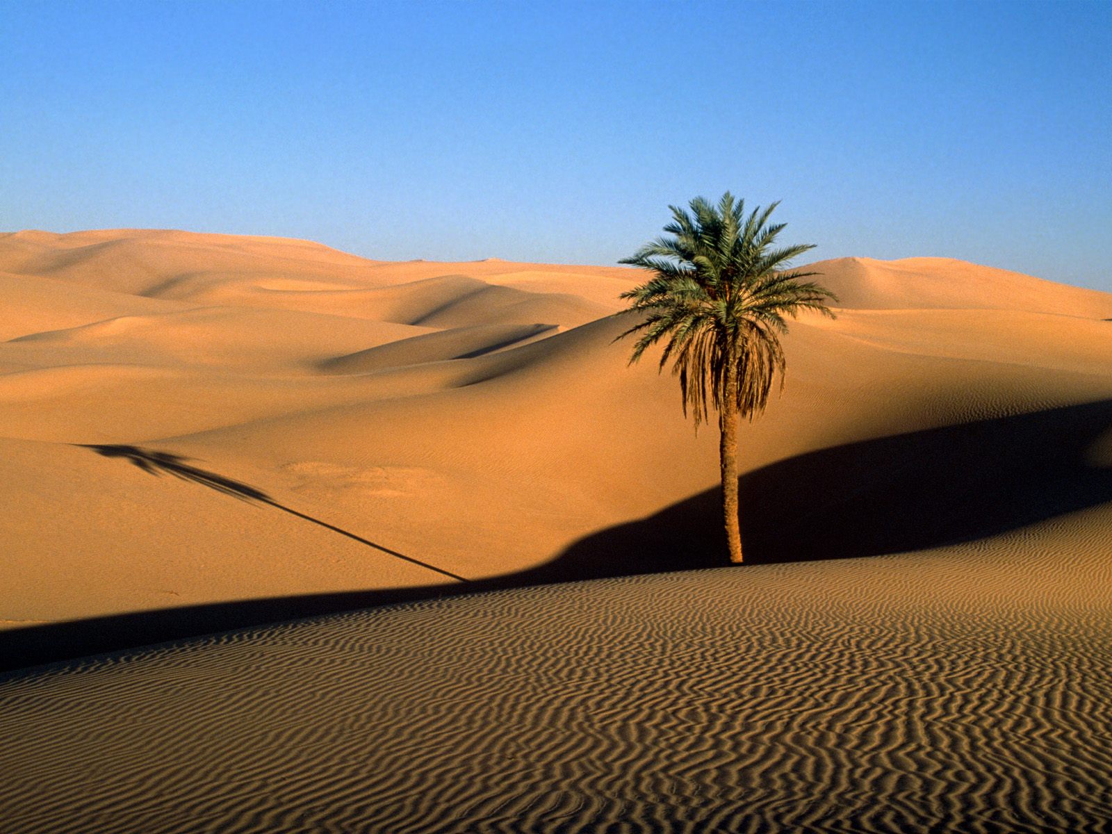 Sahara Desert Hottest Desert in the World | Travel and Tourism