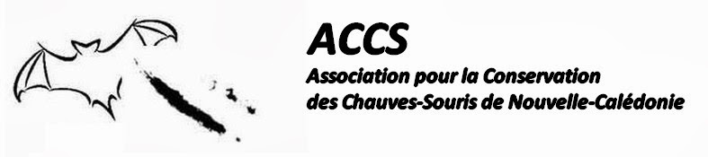   ACCS - Association pour la Conservation des Chauves-Souris de Nouvelle-Calédonie