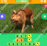 1 Pic 3 Words Level 339 answers cheats, solutions, walkthrough for 1 pic 3 words level 339