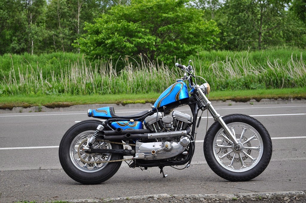 XL1200 CUSTOM