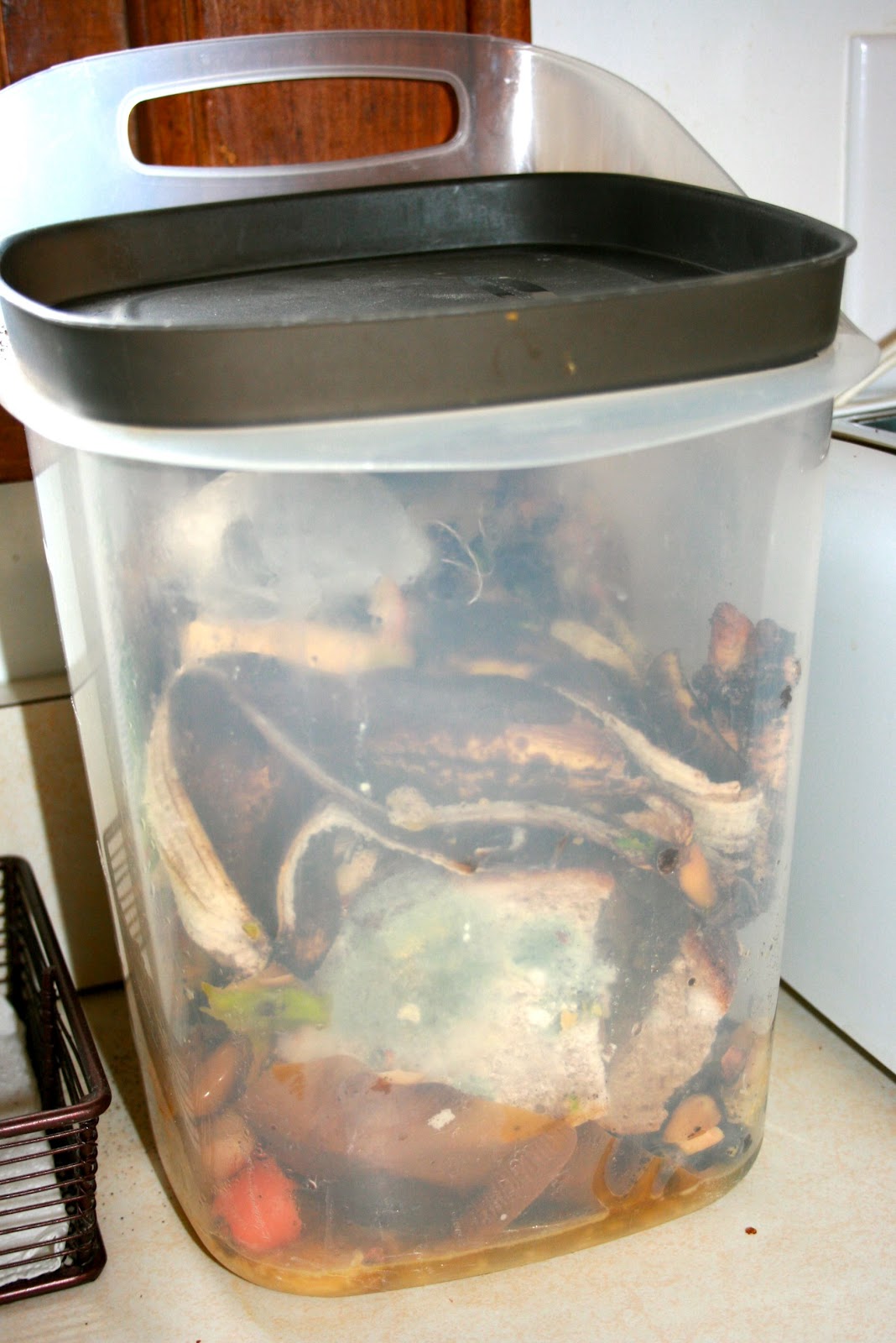 Simple Composting Breakdown Go Ahead Give it to Me Simple Living