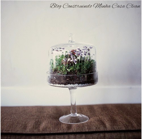 mini jardins pedra viva:Construindo Minha Casa Clean: 50 Terrários Criativos para Decorar sua mini jardins pedra viva:Construindo Minha Casa Clean: 50 Terrários Criativos para Decorar sua