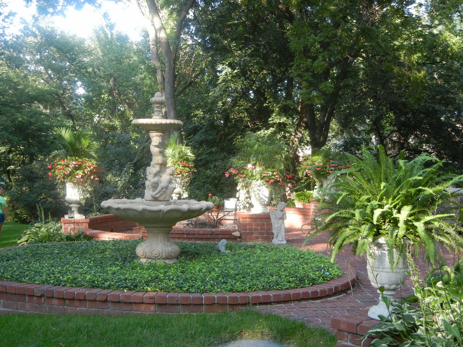 The French Tangerine kelly's garden