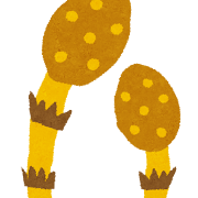 つくしのイラスト