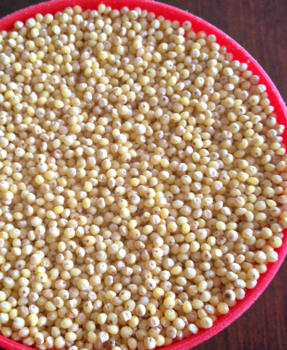 Diaries of a Dietitian Millet….Not just for the birds