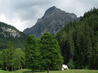 View of the Simmenfälle between the trees, mountain peak in the distance, near Lenk, Switzerland