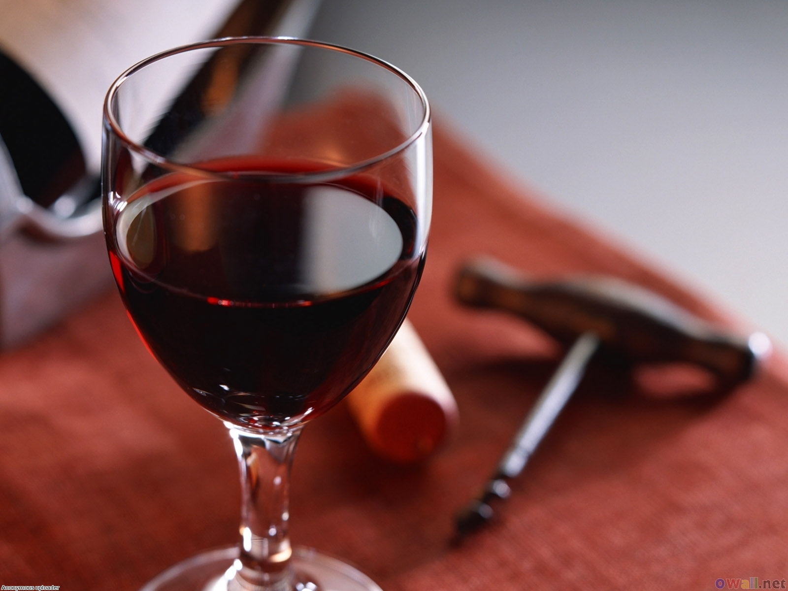 Article 5 Great Red Wines for the Winter