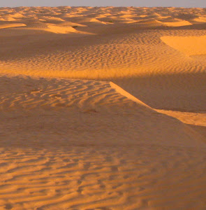 Desert in Africa
