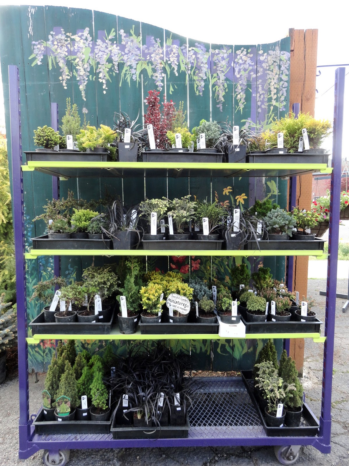 danger garden A gasstation nursery in Spokane, WA…