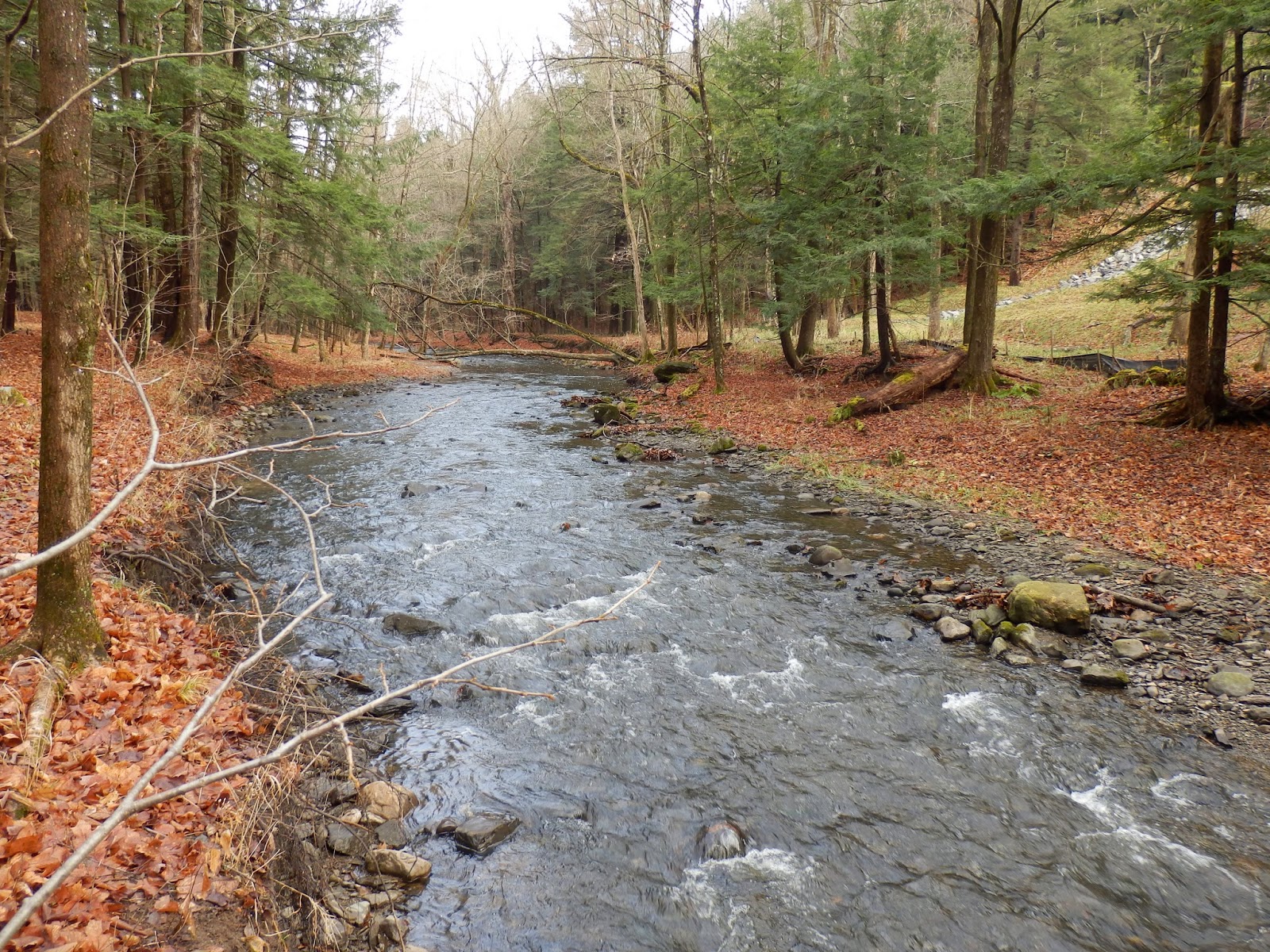 Walking Man 24 7 Schodack Town Park