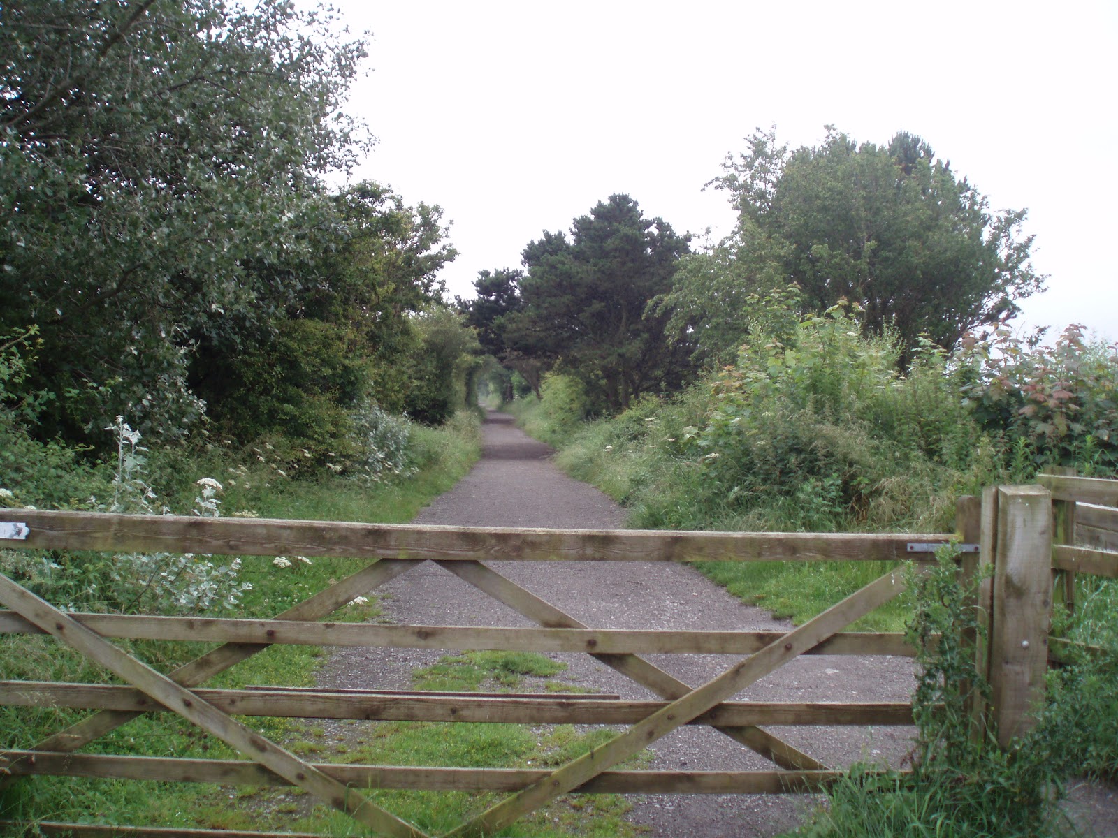 Wirral Way