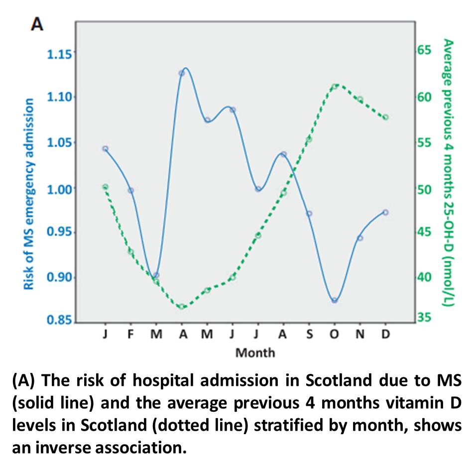 2019 year - Multiple Sclerosis and Vitamin D 2019 year