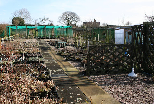 Bluebell Cottage, five years on. Part One…