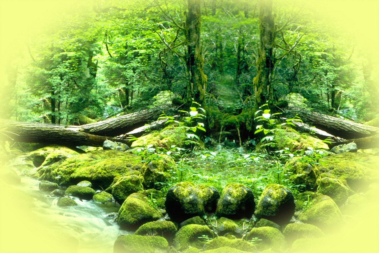 Nature background ~ background design