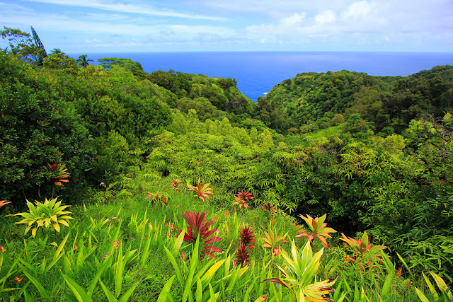 Maui Island