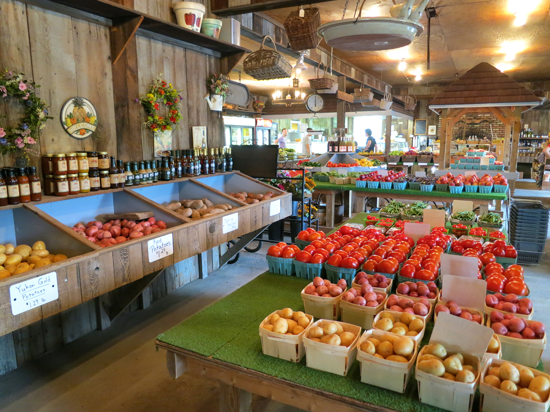 KEN PAO PHOTOGRAPHY hiking in new paltz, ny!