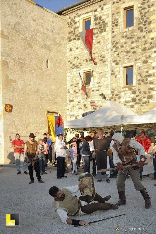 chevalier à terre photo pascal blachier