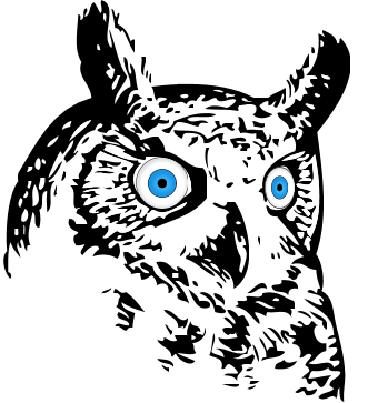 owls are one of the only birds who can see the color blue not