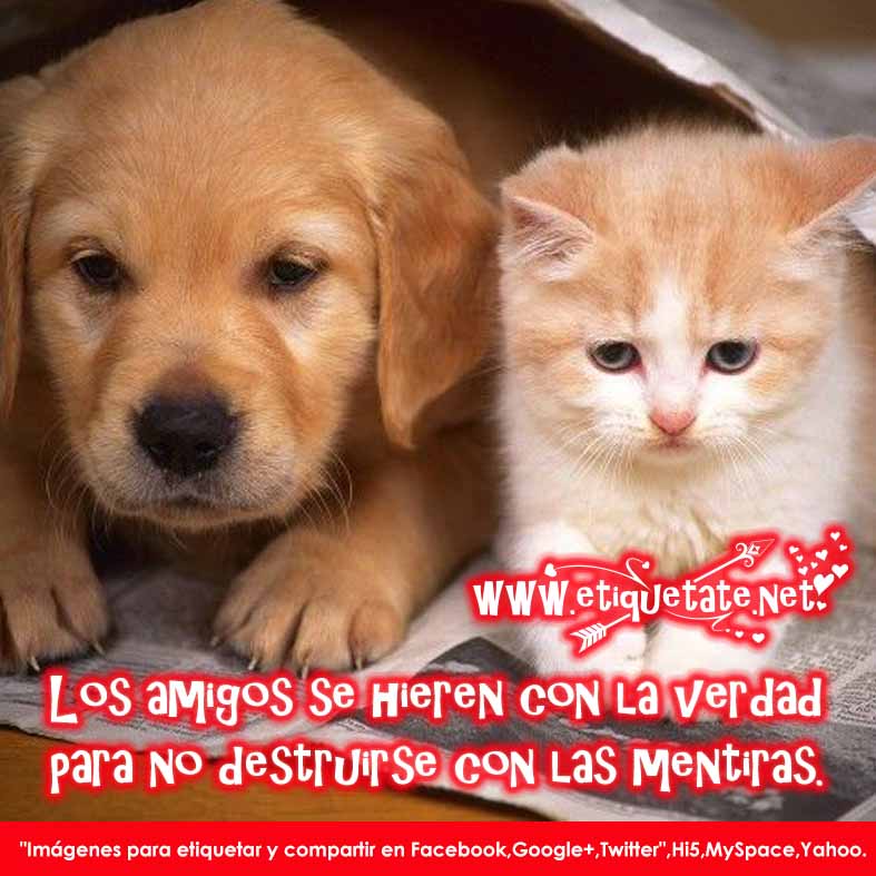 20 Imágenes de Amistad con Frases Lindas para compartir 20 Imágenes de Amistad con Frases Lindas para compartir