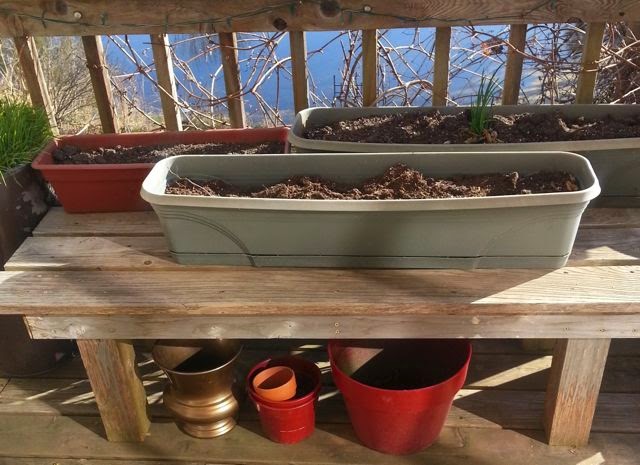 how to make a dyi cold frame
