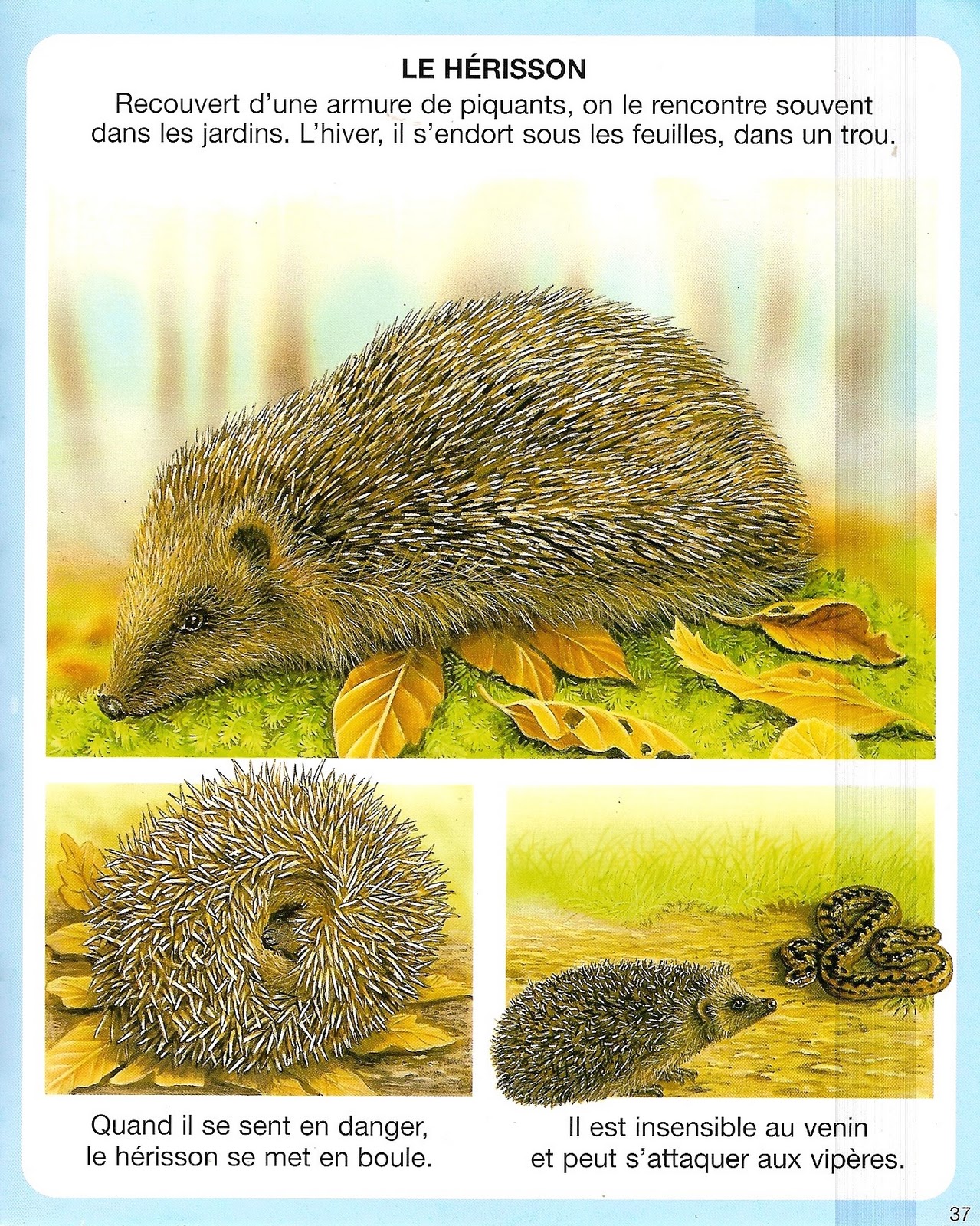 rencontre femme fleurus